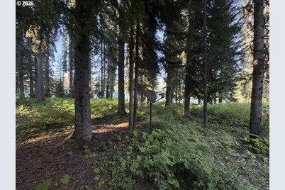 27428 W Odell Rd #T4, Crescent Lake, OR 97733 - Photo 13