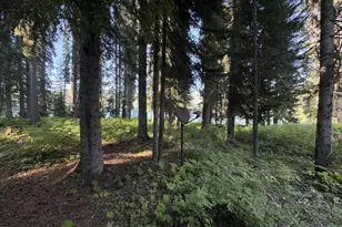 27428 W Odell Rd, Crescent Lake, OR 97733 - Photo 13