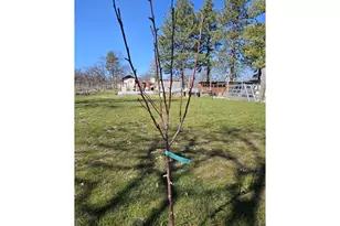 80165 Ridgetop Rd, Dufur, OR 97021 - Photo 39
