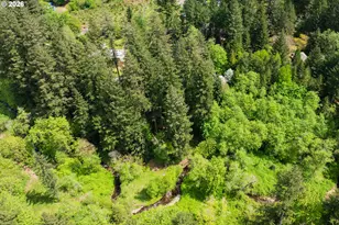 201 Baker Rd, Ariel, WA 98603 - Photo 41