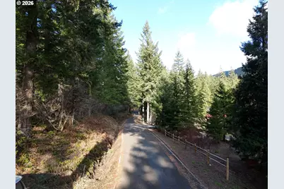 1951 Bear Creek Rd, Carson, WA 98610 - Photo 13