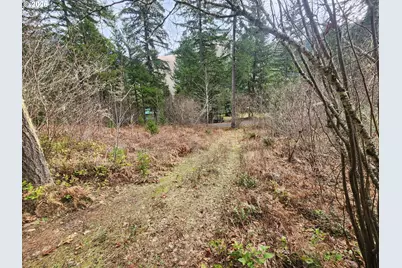 1951 Bear Creek Rd, Carson, WA 98610 - Photo 23