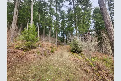 1951 Bear Creek Rd, Carson, WA 98610 - Photo 21