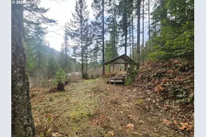 1951 Bear Creek Rd, Carson, WA 98610 - Photo 27