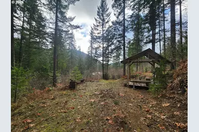 1951 Bear Creek Rd, Carson, WA 98610 - Photo 29