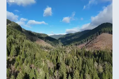 1951 Bear Creek Rd, Carson, WA 98610 - Photo 3