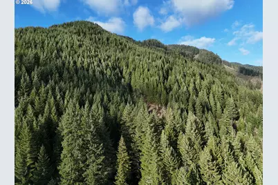 1951 Bear Creek Rd, Carson, WA 98610 - Photo 11