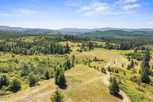 805 Luebke Rd, Toutle, WA 98649 - Photo 39
