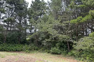88282 Elmont Dr, Florence, OR 97439 - Photo 13