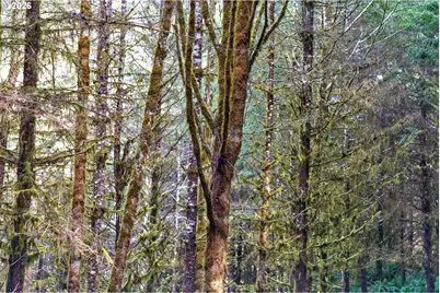 0 S Hwy 42 S #2, Coquille, OR 97423 - Photo 23