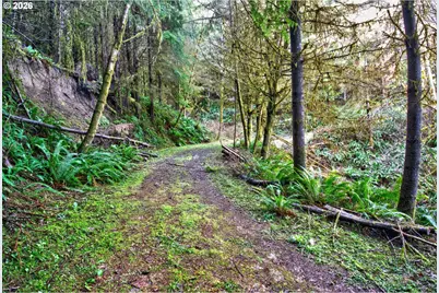 0 S Hwy 42 S #2, Coquille, OR 97423 - Photo 11