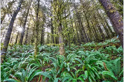 0 S Hwy 42 S #2, Coquille, OR 97423 - Photo 25