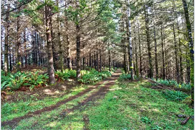 0 S Hwy 42 S #2, Coquille, OR 97423 - Photo 15
