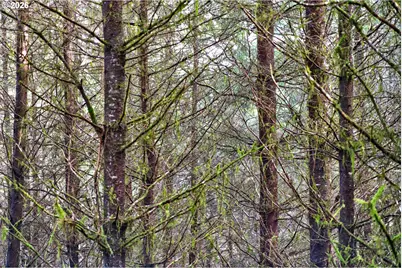 0 S Hwy 42 S #2, Coquille, OR 97423 - Photo 19