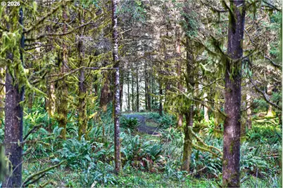 0 S Hwy 42 S #2, Coquille, OR 97423 - Photo 21