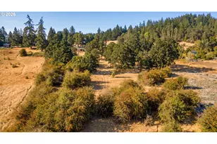 39156 Myers Pl, Scio, OR 97374 - Photo 3