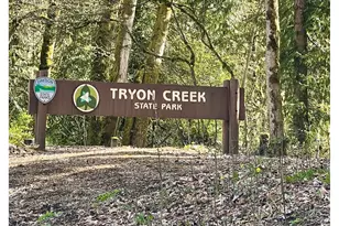 7929 SW 4th Ave, Portland, OR 97219 - Photo 41