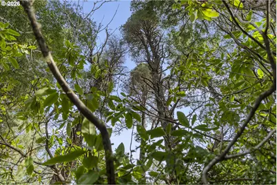 89042 W Randolph Ln, Bandon, OR 97411 - Photo 41