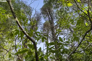 89042 W Randolph Ln, Bandon, OR 97411 - Photo 41