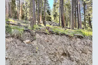 Arapahoe Rd, Joseph, OR 97846 - Photo 13