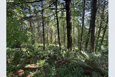 6100 Teal Creek Rd, Dallas, OR 97338 - Photo 37