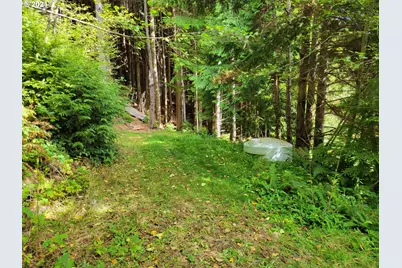 Necarney, Rockaway Beach, OR 97136 - Photo 11