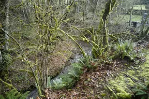 23708 NE Canyon Loop Rd, Battle Ground, WA 98604 - Photo 25