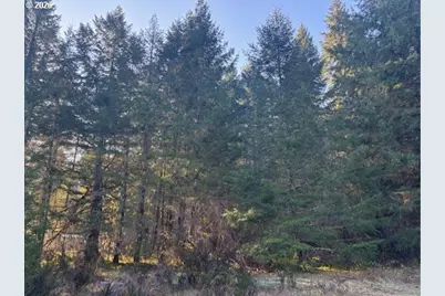 Brice Creek Rd, Cottage Grove, OR 97424 - Photo 1