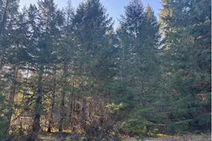 Brice Creek Rd, Cottage Grove, OR 97424 - Photo 1