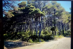 Sea Way Loop, Waldport, OR 97394 - Photo 1