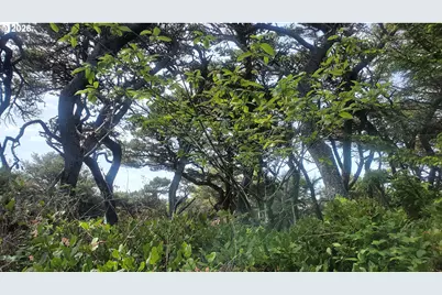 Sea Way Loop, Waldport, OR 97394 - Photo 5