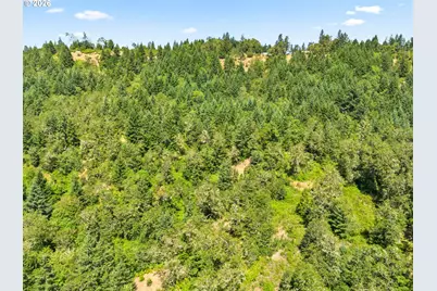 1623 Lower Crest Rd, Oakland, OR 97462 - Photo 39