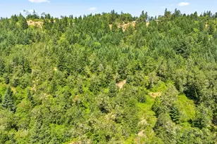 1623 Lower Crest Rd, Oakland, OR 97462 - Photo 39