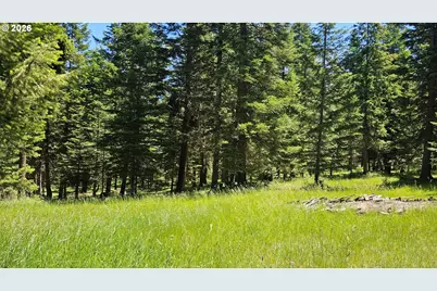61001 Liberty Rd, Joseph, OR 97846 - Photo 35