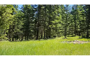 61001 Liberty Rd, Joseph, OR 97846 - Photo 35