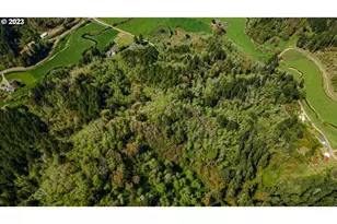 233 Johanneson Creek Rd, Reedsport, OR 97467 - Photo 47