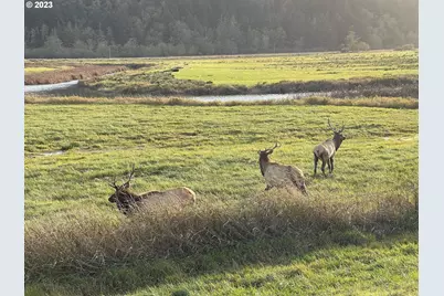233 Johanneson Creek Rd, Reedsport, OR 97467 - Photo 45