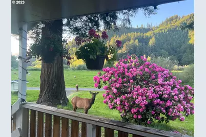 233 Johanneson Creek Rd, Reedsport, OR 97467 - Photo 13