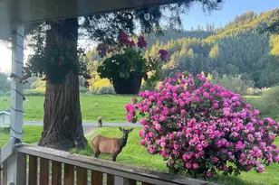 233 Johanneson Creek Rd, Reedsport, OR 97467 - Photo 13