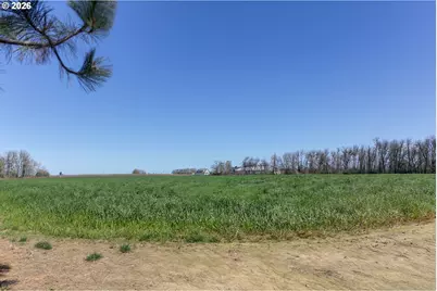 29680 Crook Dr, Halsey, OR 97348 - Photo 41