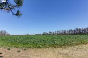 29680 Crook Dr, Halsey, OR 97348 - Photo 41