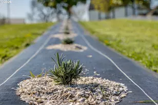 29680 Crook Dr, Halsey, OR 97348 - Photo 37