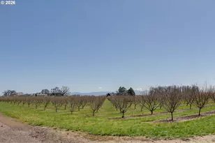 29680 Crook Dr, Halsey, OR 97348 - Photo 39