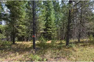 64955 Old Oregon, Pendleton, OR 97801 - Photo 45