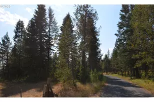 64955 Old Oregon, Pendleton, OR 97801 - Photo 41