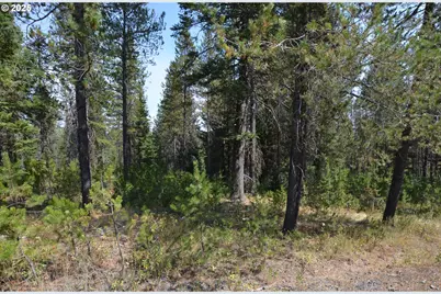 64955 Old Oregon, Pendleton, OR 97801 - Photo 43