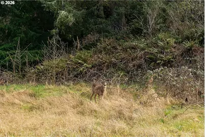 Buena Vista Ave #2900, Netarts, OR 97143 - Photo 11