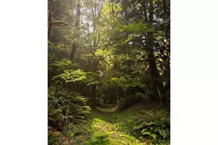 70165 E Barlow Trail Rd, Rhododendron, OR 97049 - Photo 43