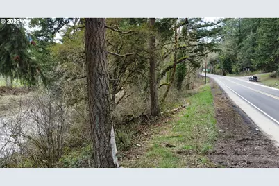 0 State Highway 38, Drain, OR 97435 - Photo 11