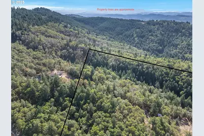 725 Wildflower Ln, Oakland, OR 97462 - Photo 3